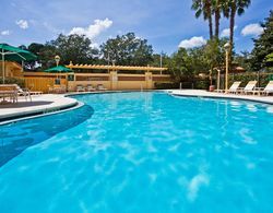 La Quinta Inn and Suites Orlando Convention Center Havuz