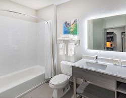 La Quinta Inn & Suites By Wyndham Ardmore Banyo Tipleri