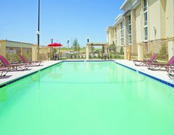 La Quinta Inn & Suites Dallas I-35 Genel