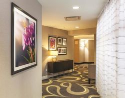 La Quinta Inn & Suites Dallas/North Central Genel
