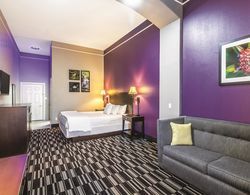 La Quinta Inn & Suites East McAllen - Alamo Genel
