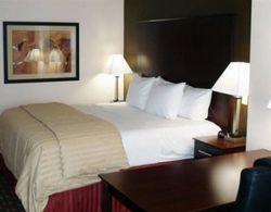 La Quinta Inn & Suites Macon West Genel