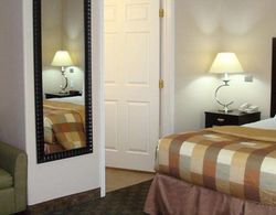 La Quinta Inn & Suites Pharr - Rio Grande Valley Genel