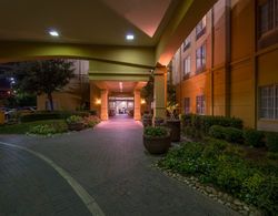 La Quinta Inn & Suites San Antonio Airport Genel
