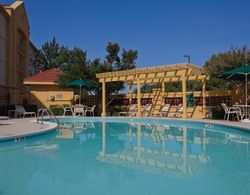 La Quinta Inn & Suites Sherman Genel