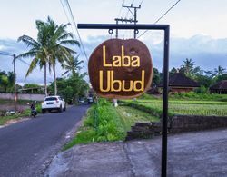 Laba Ubud Villa Dış Mekan