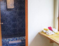 Hotel Lagos de Menegua Banyo Tipleri
