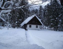 Apartments Lake Bohinj Dış Mekan