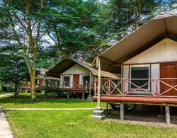 Lake Naivasha Crescent Camp Genel