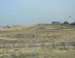 Large Holiday Home in Noordwijk Directly Behind the Dunes Dış Mekan