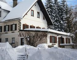Large Semi-detached House Between Lake Weissensee and Nassfeld ski Area Dış Mekan