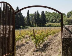 Le Chateau des Cinq Cantons Dış Mekan