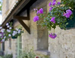 Le moulin de Mombreux Dış Mekan