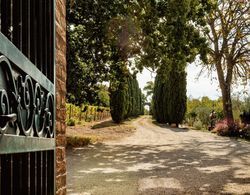 Villa Le Prata - Winery & Accommodation - Adults Only Dış Mekan