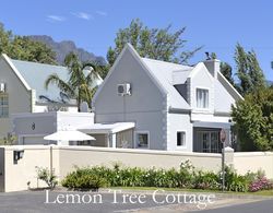 Lemon Tree Cottage Dış Mekan