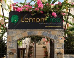 Lemon Tree Genel