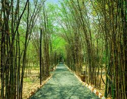 Lemon Tree Wildlife Resort, Bandhavgarh Genel