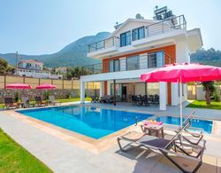 Villa Leon Fethiye Genel