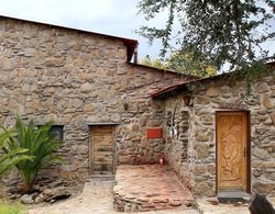 Leopard Lodge Dış Mekan