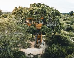 Leopard Nest - Glamping in Yala Dış Mekan