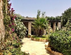 Les Jardins De Villa Maroc Genel