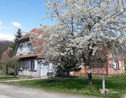 Les Loges de l'Ecomusée D'Alsace Öne Çıkan Resim
