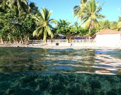 Leyte Dive Resort Öne Çıkan Resim