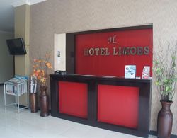 Hotel Limoes Lobi