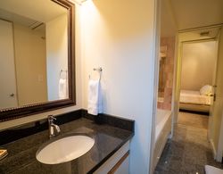 Lincoln Park Suites Operated by Roscoe Village Guesthouse Banyo Tipleri