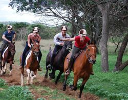 Lion's Den Backpackers Genel