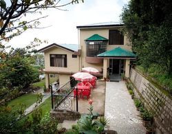 Little Mastiff Dharamshala - Unit Of Pong View Hotel Dış Mekan