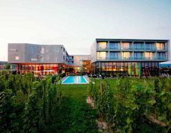 LOISIUM Wine & Spa Resort Langenlois Genel