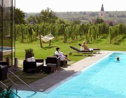 LOISIUM Wine & Spa Resort Langenlois Havuz