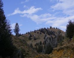 Longji Rice Terraces Hostel Dış Mekan