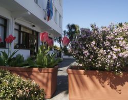 Hotel Los Laureles Dış Mekan