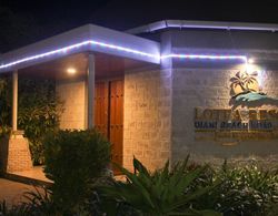 Lotfa Resort Diani Dış Mekan