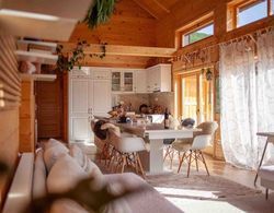 Lovely 4-bed Cottage in Kolasin Öne Çıkan Resim