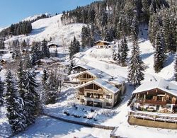 Lovely Chalet With Sauna, Ski Storage, Heating, Carport Dış Mekan