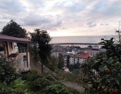 Lovely Flat Near Sea With Balcony in Cayeli Oda