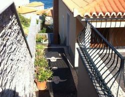 Lovely Sea View 3-bed House in P Delgada, Madeira Dış Mekan