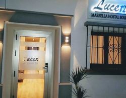 Lucero 12 Marbella Hostal Boutique Dış Mekan