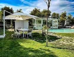 Villa Luciana With Bio Pool and Private Garden Oda