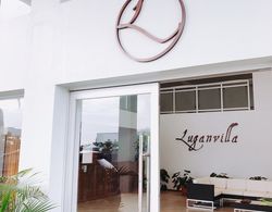 Luganvilla Business Hotel and Restaurant Dış Mekan