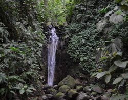 Lumbres del Arenal Cabinas y Villas Dış Mekan