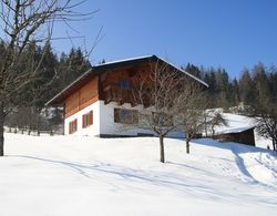 Lush Holiday Home in Hüttau near Ski Area Dış Mekan