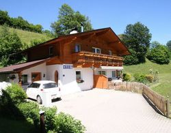 Luxurious Apartment in Brixen im Thale Tyrol With Balcony Dış Mekan