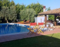 Luxurious Villa in Caltagirone Italy With Private Pool Havuz