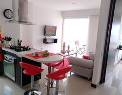 Luxurious Apartment in Front of the Chipichape Shopping Center İç Mekan