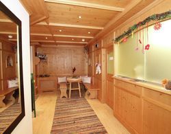 Luxurious Apartment in Kaltenbach With Sauna Lobi