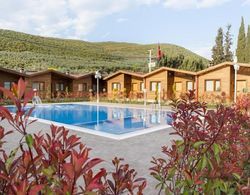 Luxurious Suits Surrounded by Nature With Jacuzzi Shared Pool in Bursa Oda